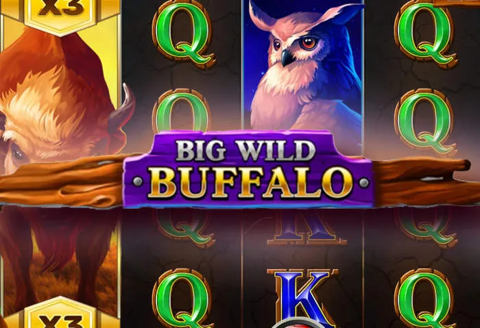 Play a wide variety of top online slots and live casino games at [CasinoName]