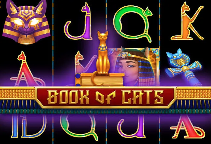 Get the 7Slots Casino App for instant access to slots and casino games.